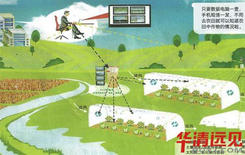 ʲô�����Wƽ�_