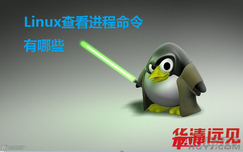 Linux查看進程命令有哪些